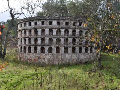Non ci resta ora che scendere per dirigerci a pochi passi dall�ingresso della torre, dove quasi nascosto dagli alberi si trova il terzo monumento: �l�arena di Verona�